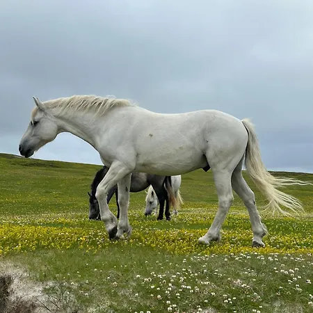 Сasa de vacaciones Grianán *