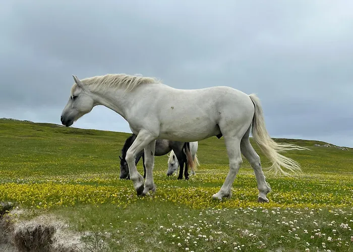 Дом отдыха Grianan *