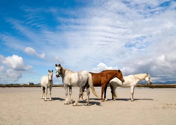 Дом отдыха Grianan